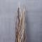 Ashland® Mixed Natural Willow Bundle, 60"